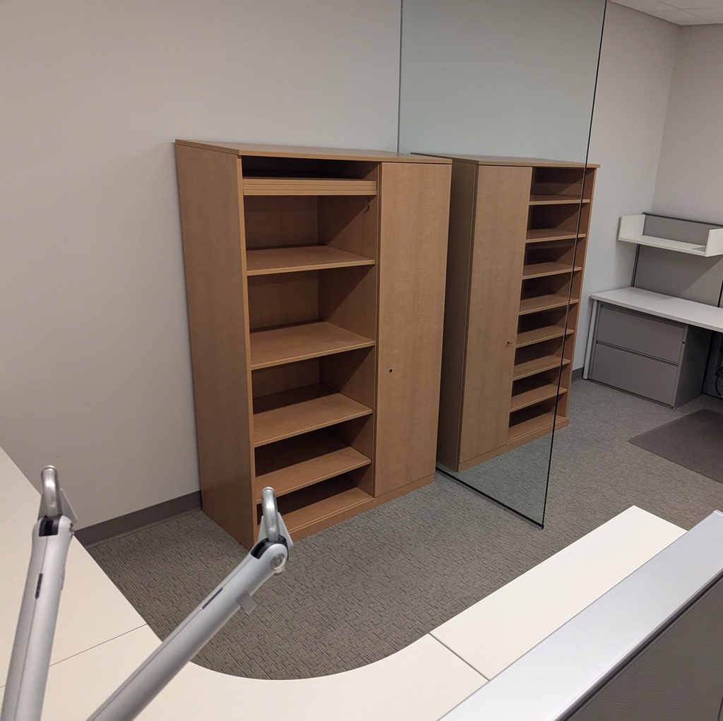 WS Bookcase with Door