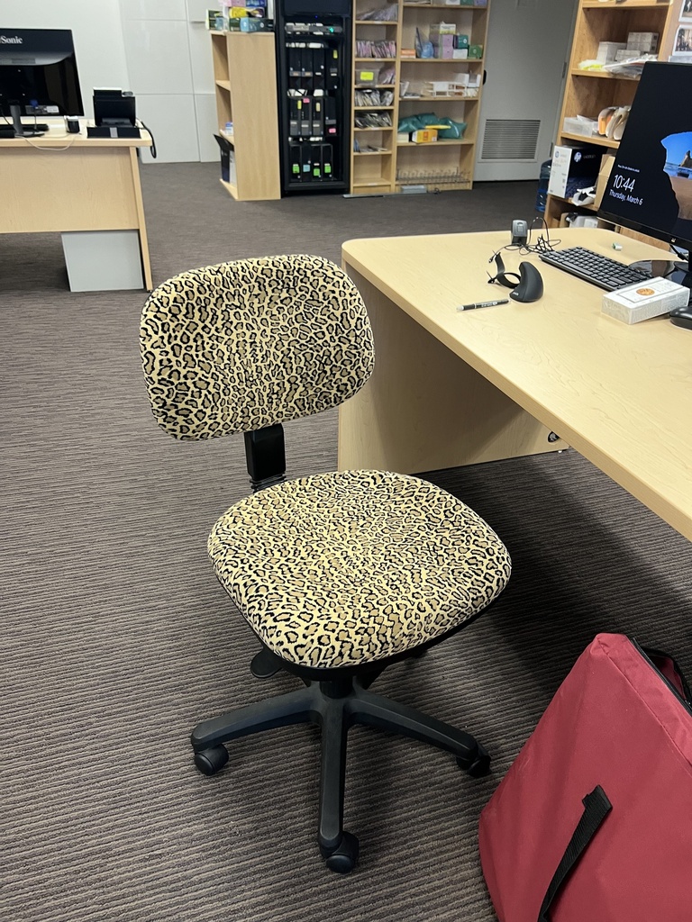 Cheetah print chair