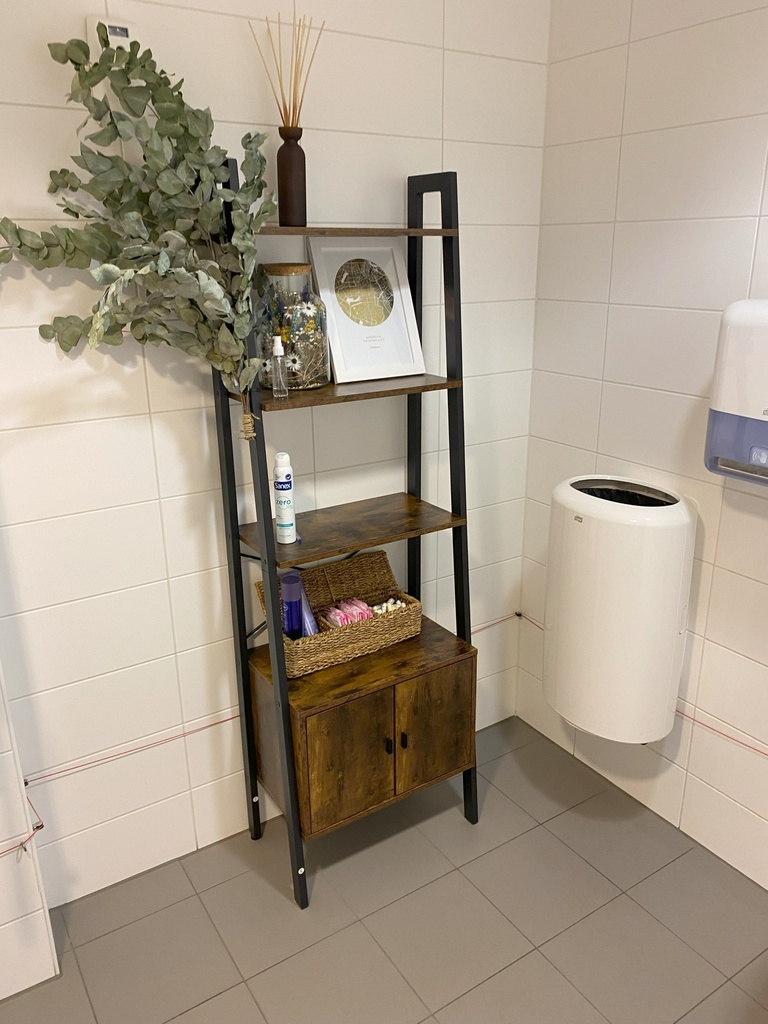 Bathroom Cabinet