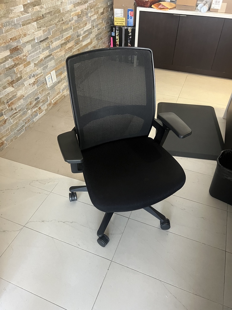 Mesh Task Chair 1