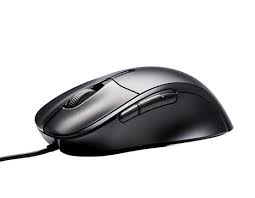 Photo representation* - Mice