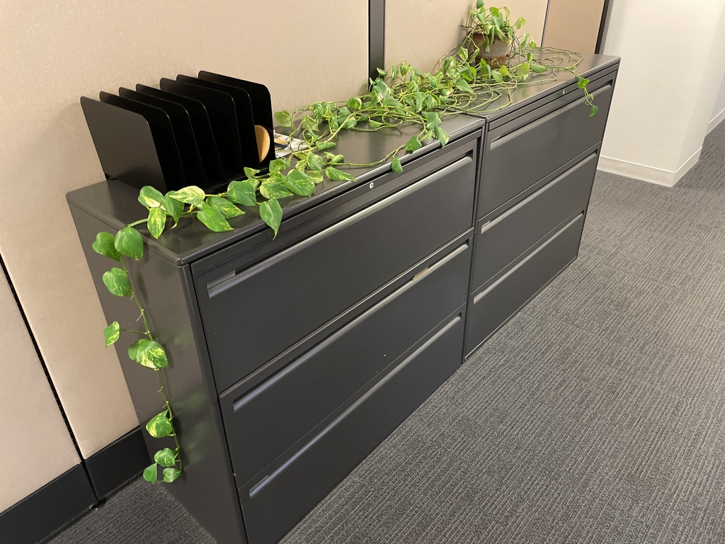 3-Drawer Lateral File