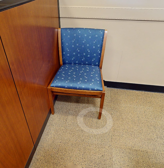 Blue Guest Chairs