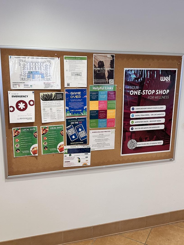 Cork board 47" x 62"