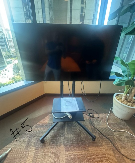 Television Screen