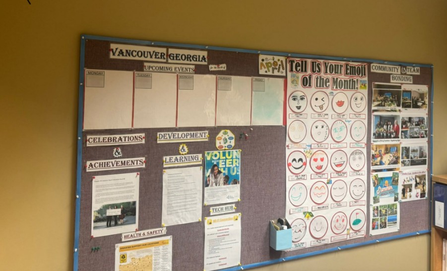 Cork Board