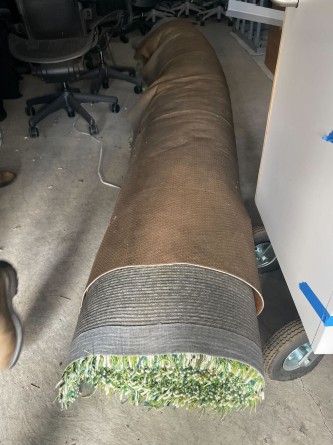 Rug