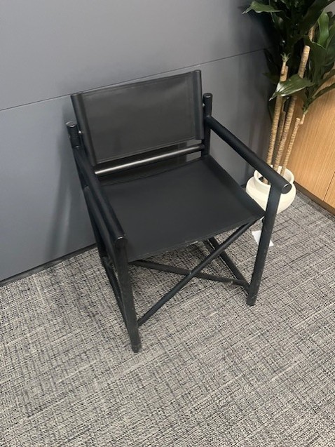 LOW DIRECTOR CHAIR
