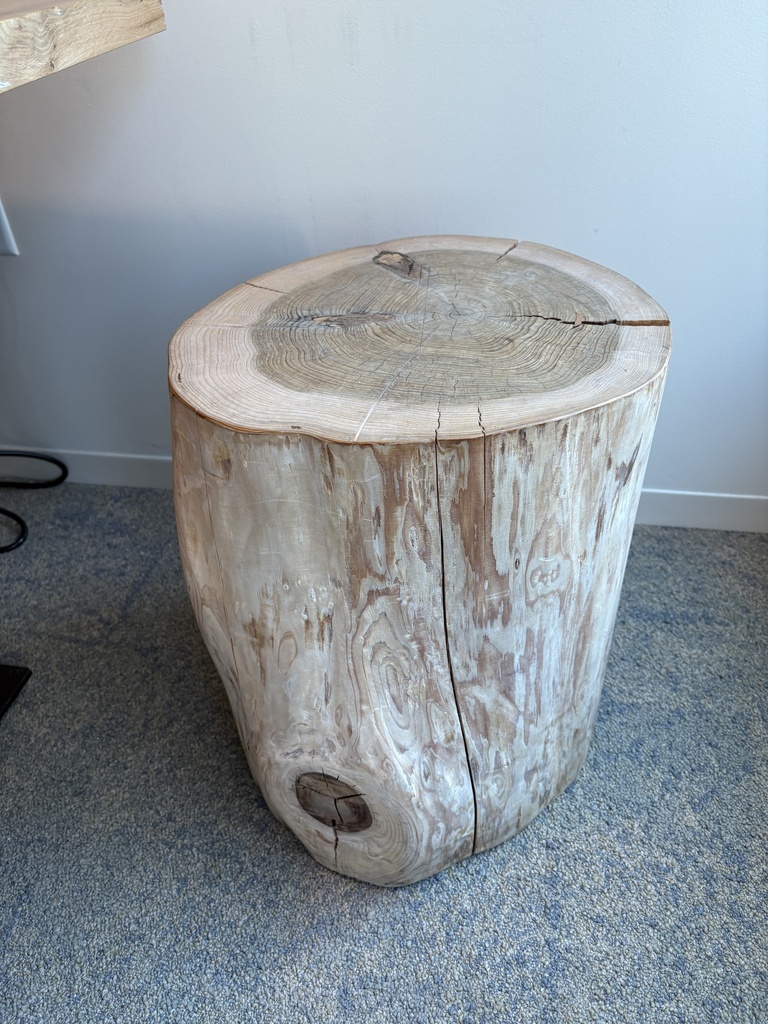 Tree Stump Side Table