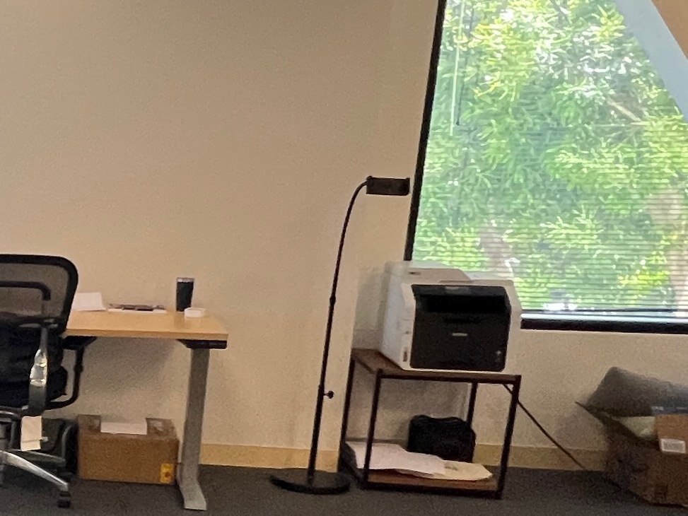 Black metal floor lamp