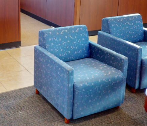 Blue Patterned Lounge Chair