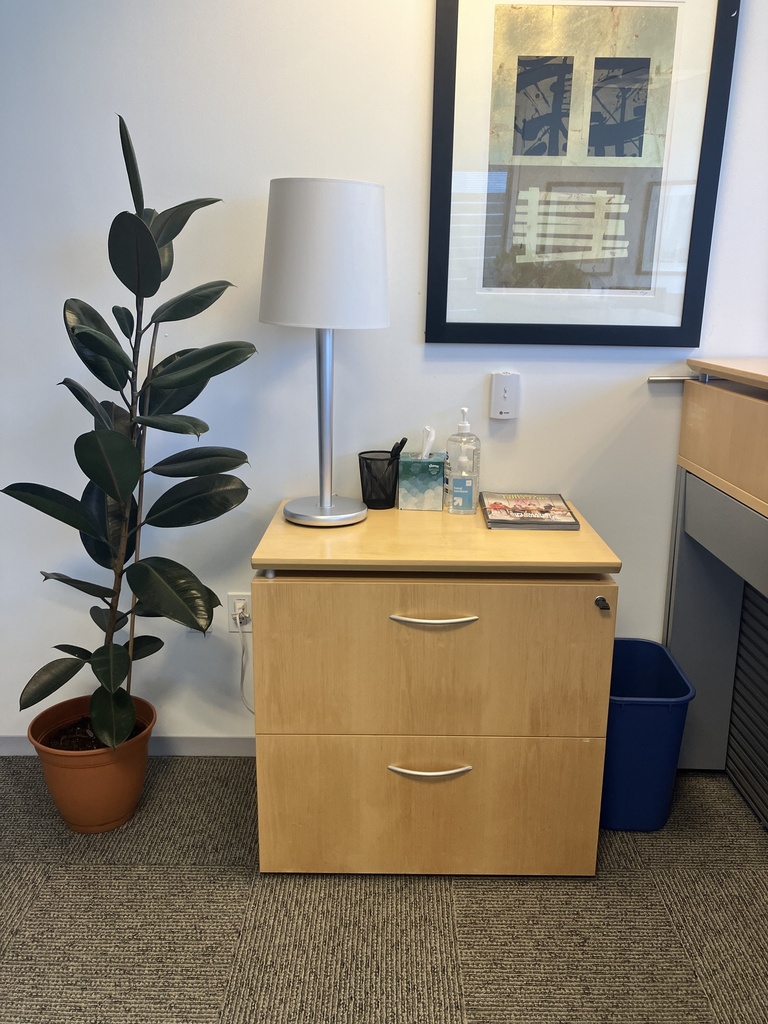 2 DR LAT FILE 30W WOOD TEKNION