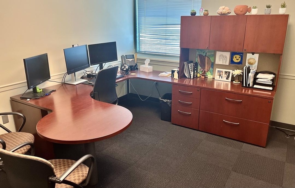 Private Office Setup (RH in Mahogany)