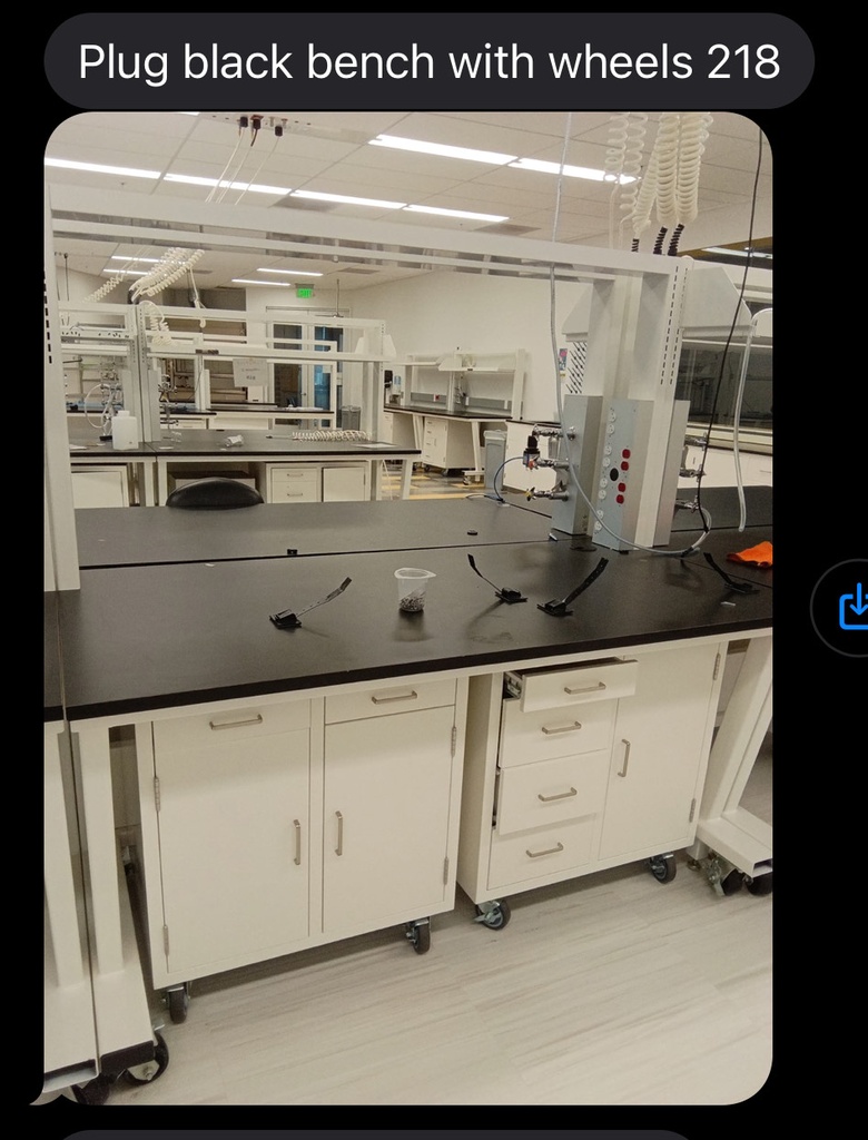 Black lab bench plug ins wood