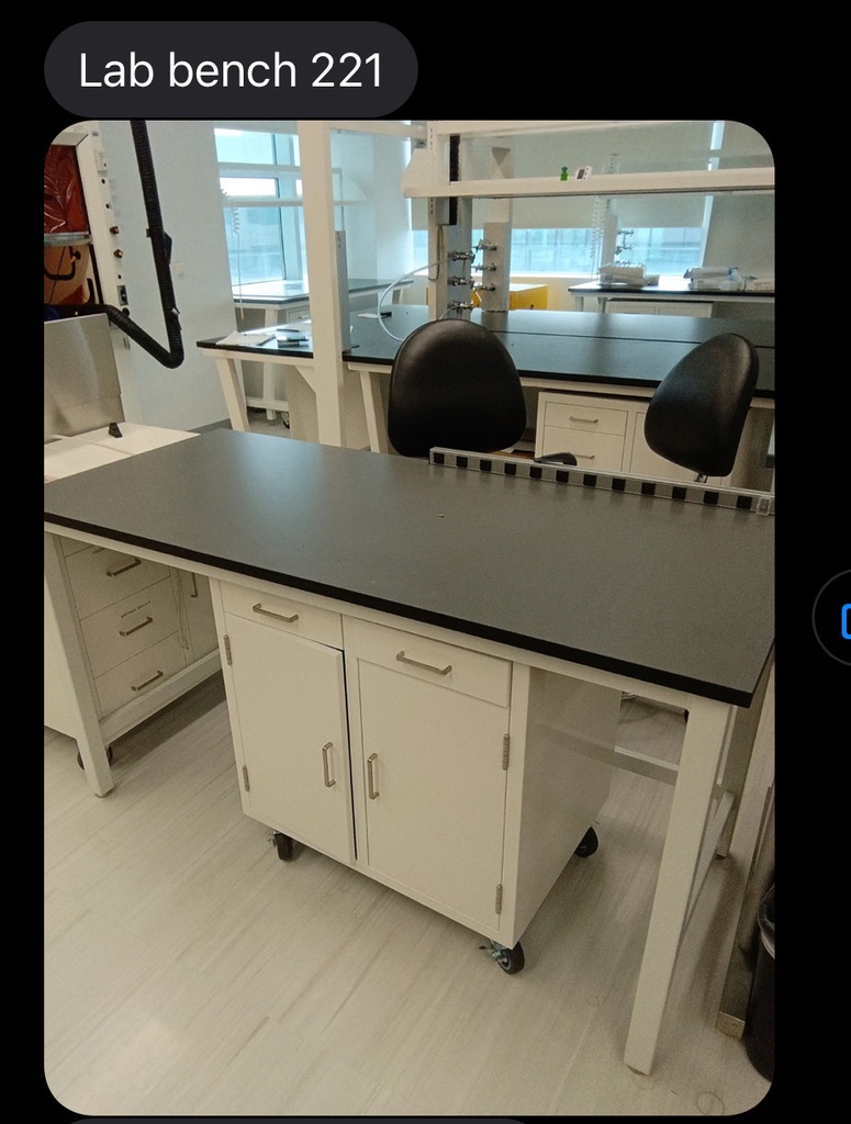 Lab bench wood