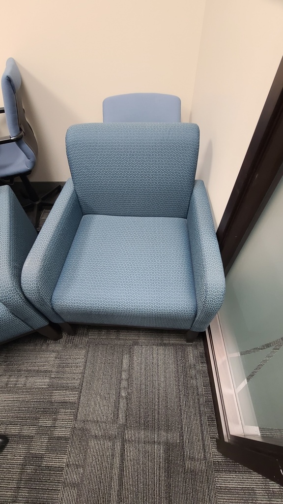 Blue Lounge Chair