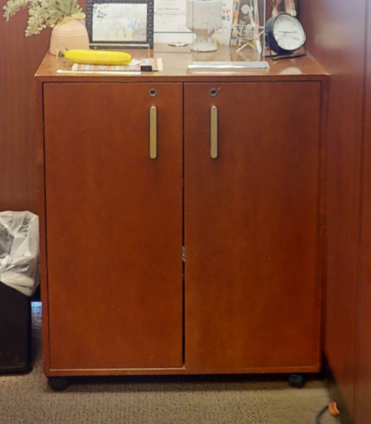 Mobile 2 door cabinet wood