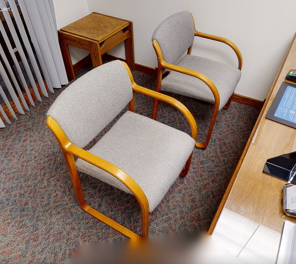 Guest Chairs 4