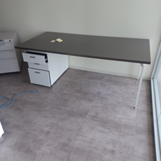 3' x 6' TABLE WITH PED