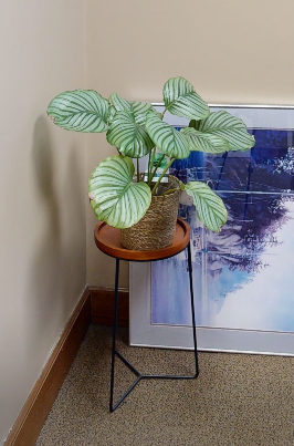Round plant table