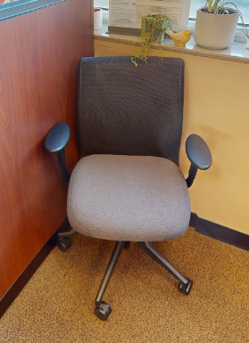 Task chair with arms