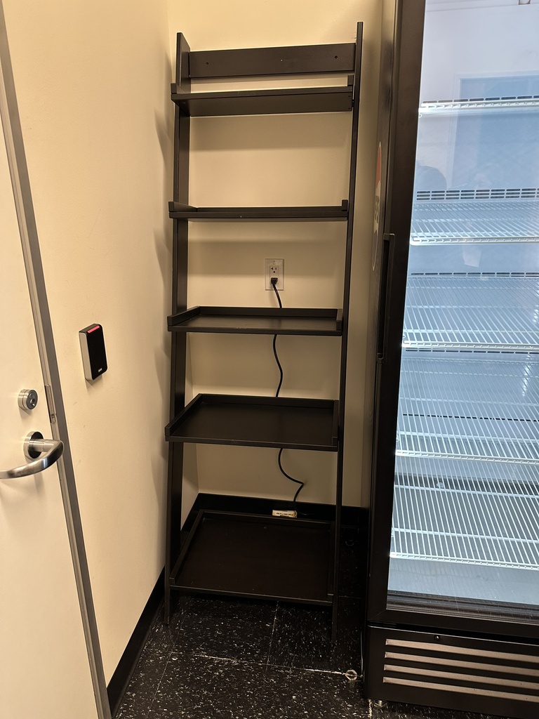 Tall Ladder Style Bookshelf