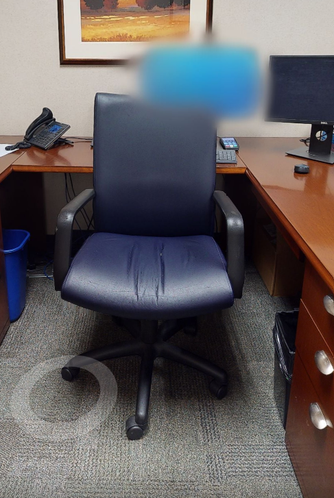 Leather task chair