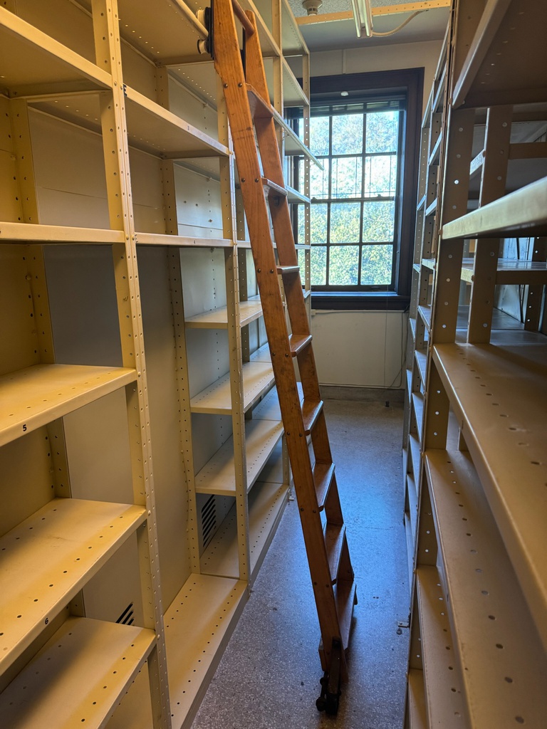 Metal tan shelving (rec)