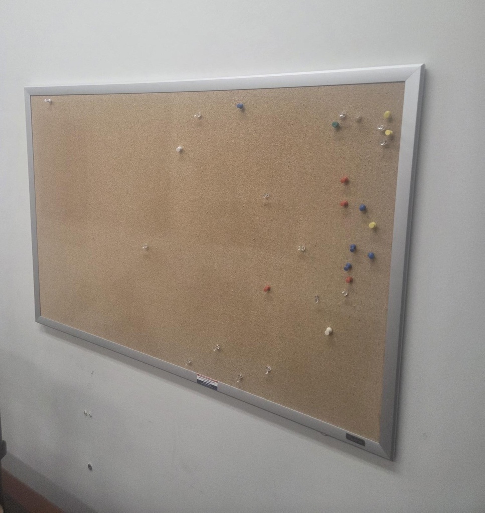 Pin board