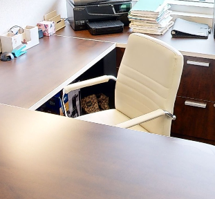 Task Chair