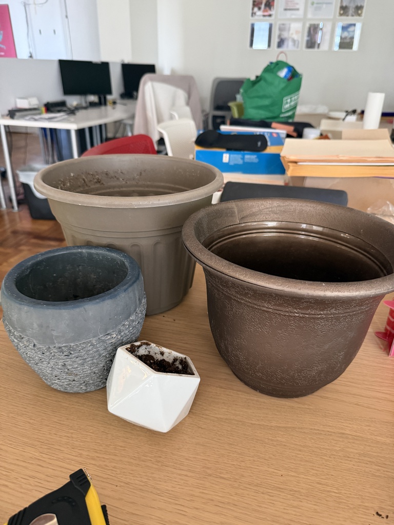 Plant Pots