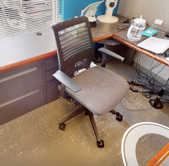 Task chair with arms