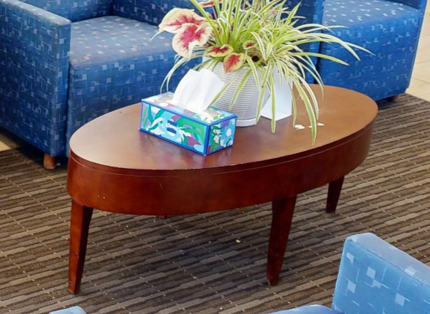 Oval coffee table, wood