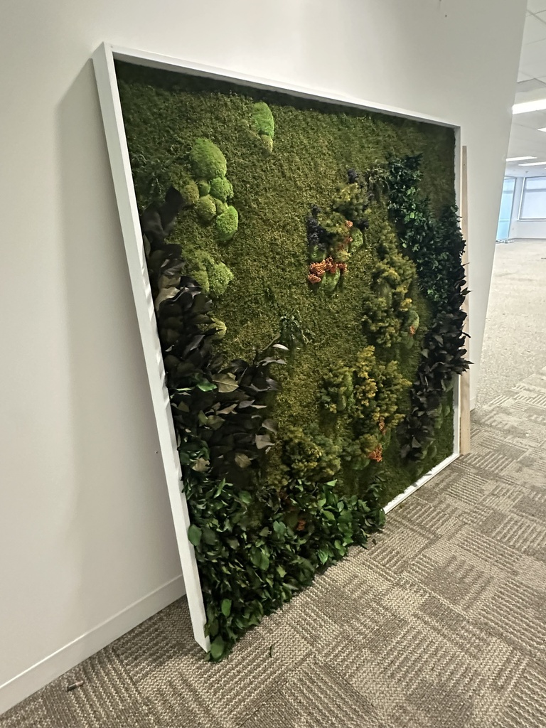 Plant Display