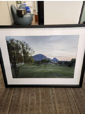 Art 10