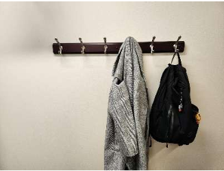 Wall Mounted Coat Hook