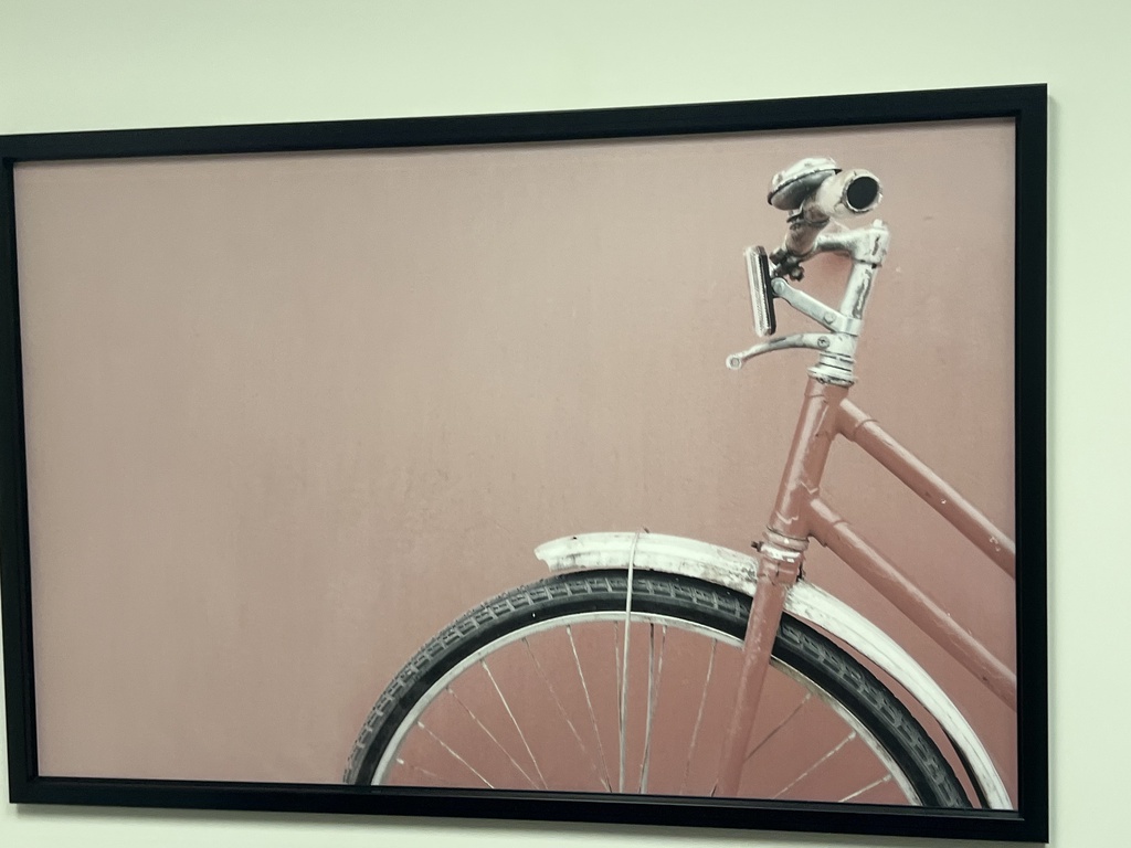 Pink Bicycle