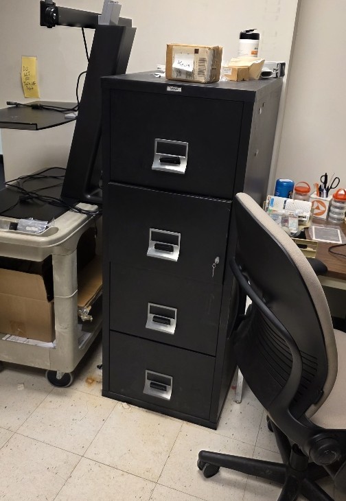 Black Vertical Fireproof File Cabinet