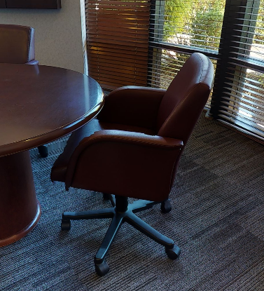 Conference Chairs
