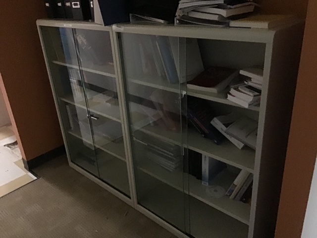 L15 W36 H52 Bookshelf glass doors