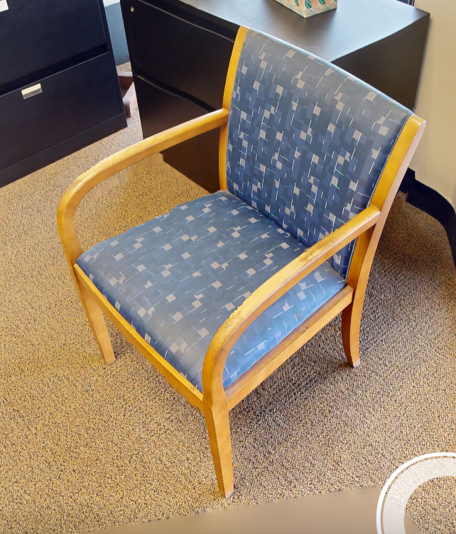 Blue patterned guest chair