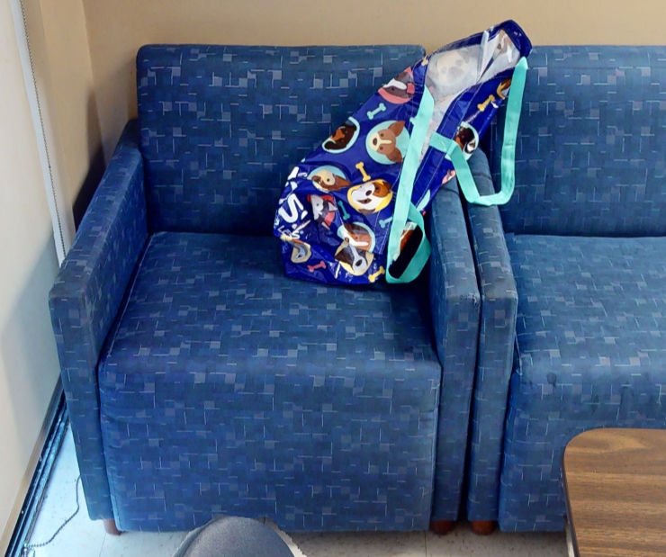 Blue patterned lounge chair