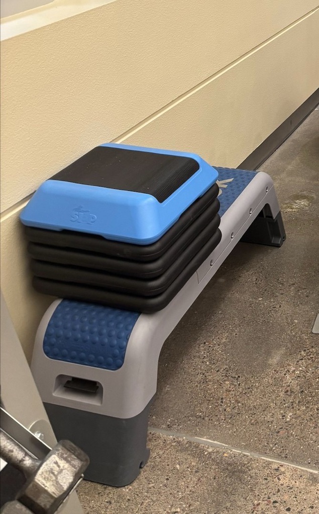 Reebox Step Platform With 5 Smaller Steps