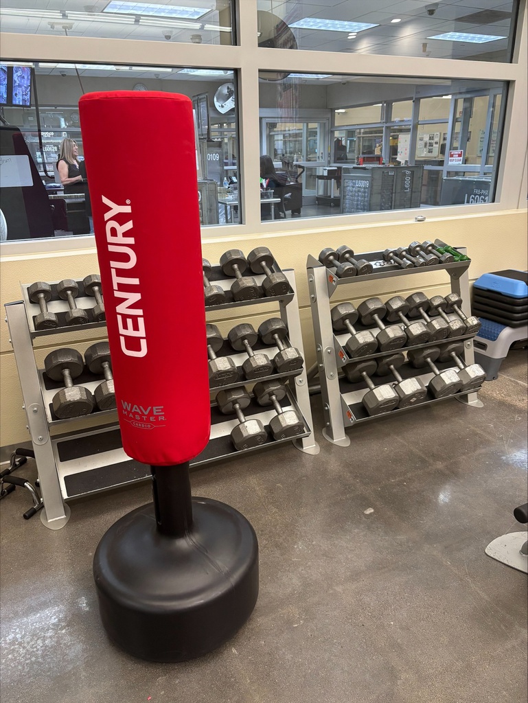 Hoist Dumbbell Rack