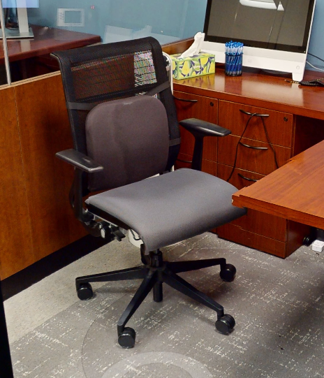 Task Chairs (pillow not included)