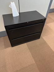 2 DRAWER FILE