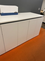 3' STORAGE CABINET W/SHARED TOP