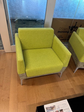 NEON LOUNGE CHAIR
