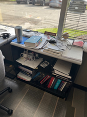 WHITE AND BLACK BOOKCASE