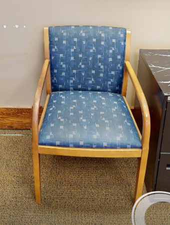 Blue Patterned Guest Chair